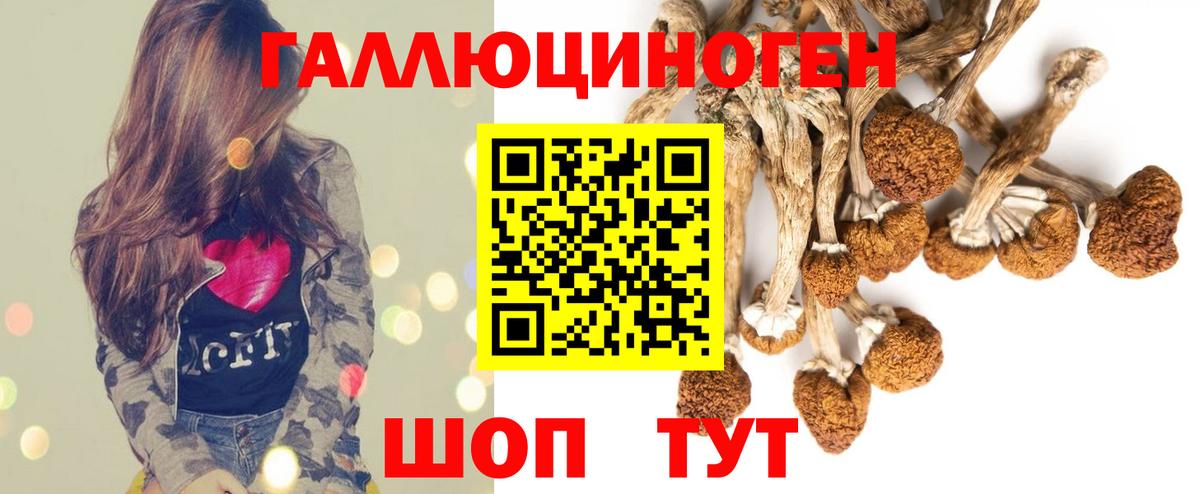 Галлюциногенные грибы Psilocybine cubensis Мценск